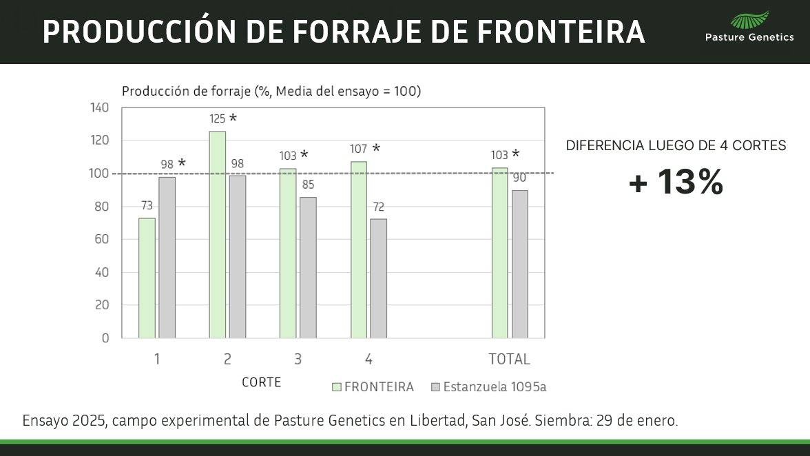 Avena de pastoreo FRONTEIRA
Ensayo 2025 de Pasture Genetics
¿Cómo viene vs Estanzuela 1095a transcurridos cuatro cortes desde la siembra?
+ 13%