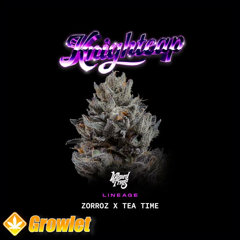 GrowletGrowShop's tweet image. Wizard Trees is in da house 😎

#growlet

#growlet_grow

#wizardtrees