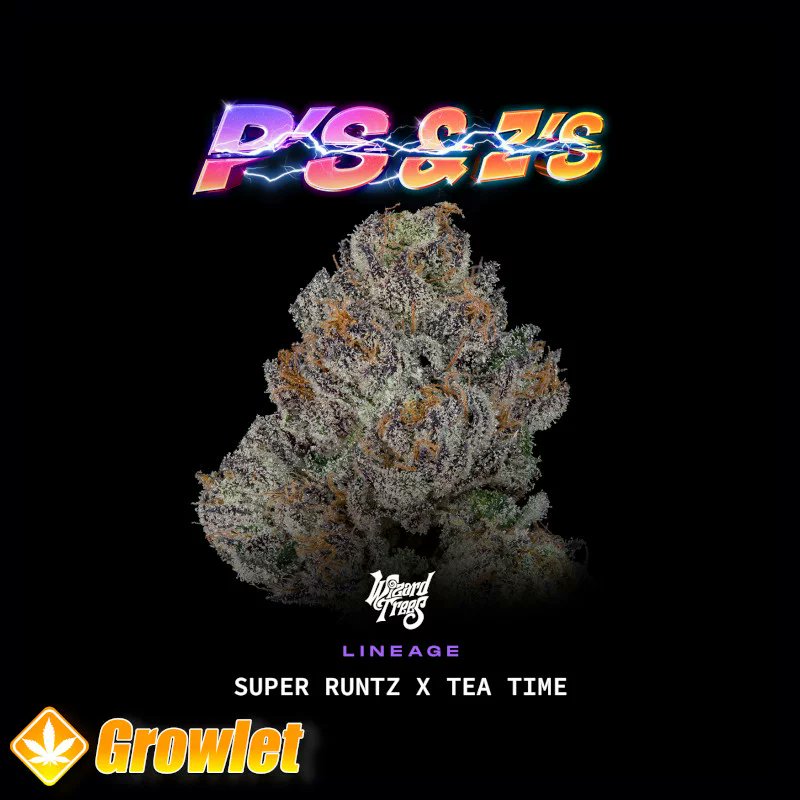 GrowletGrowShop's tweet image. Wizard Trees is in da house 😎

#growlet

#growlet_grow

#wizardtrees