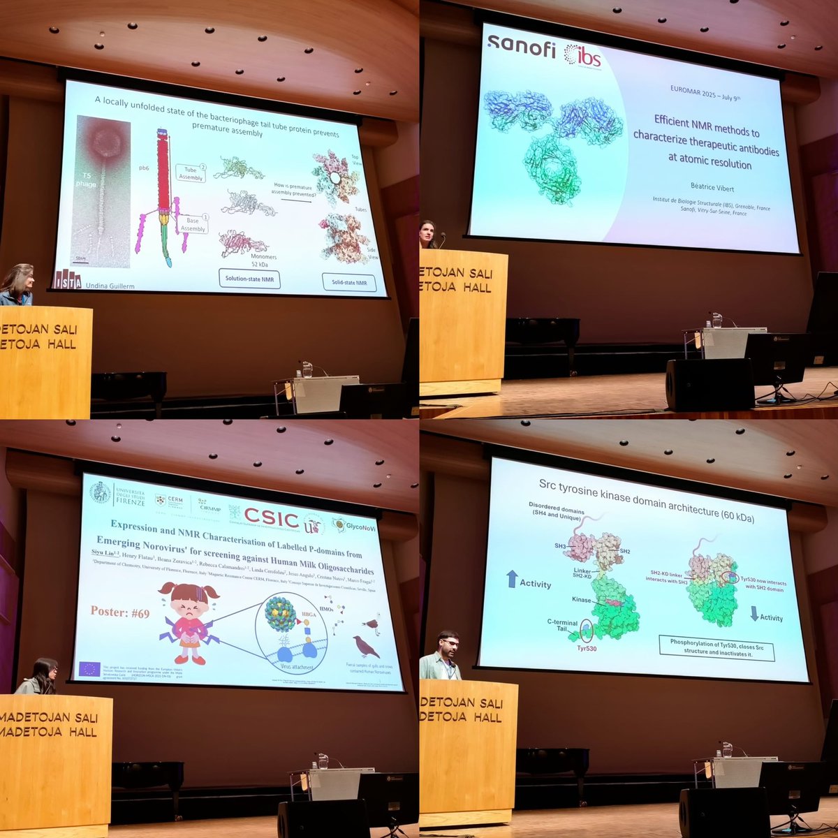 Parallel session 10 BioNMR, we had a good morning with parallel speakers Sebastian Hiller and Anna Zawadzka-Kazimierczuk, oral speakers Björn Burmann and Virgínia Casablancas-Antras, and four great flash talk speakers. #EUROMAR2025 #NMR #EPR #ESR #MRI #Oulu