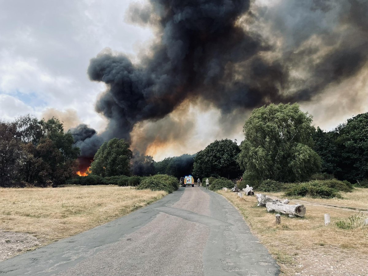 Scottish Fire and Rescue Service – Your Safety (@sfrsyoursafety) on Twitter photo From <a href="/WestMidsFire/">West Midlands Fire Service</a>
🔥This is the aftermath after a disposable barbecue caused a significant fire in Sutton Park.
❌Please don’t use disposable barbecues in parks or open spaces, especially during hot, dry weather.
Pack a picnic, not a BBQ.
Safety info ➡️ow.ly/jKYH50QJuVP From <a href="/WestMidsFire/">West Midlands Fire Service</a>
🔥This is the aftermath after a disposable barbecue caused a significant fire in Sutton Park.
❌Please don’t use disposable barbecues in parks or open spaces, especially during hot, dry weather.
Pack a picnic, not a BBQ.
Safety info ➡️ow.ly/jKYH50QJuVP