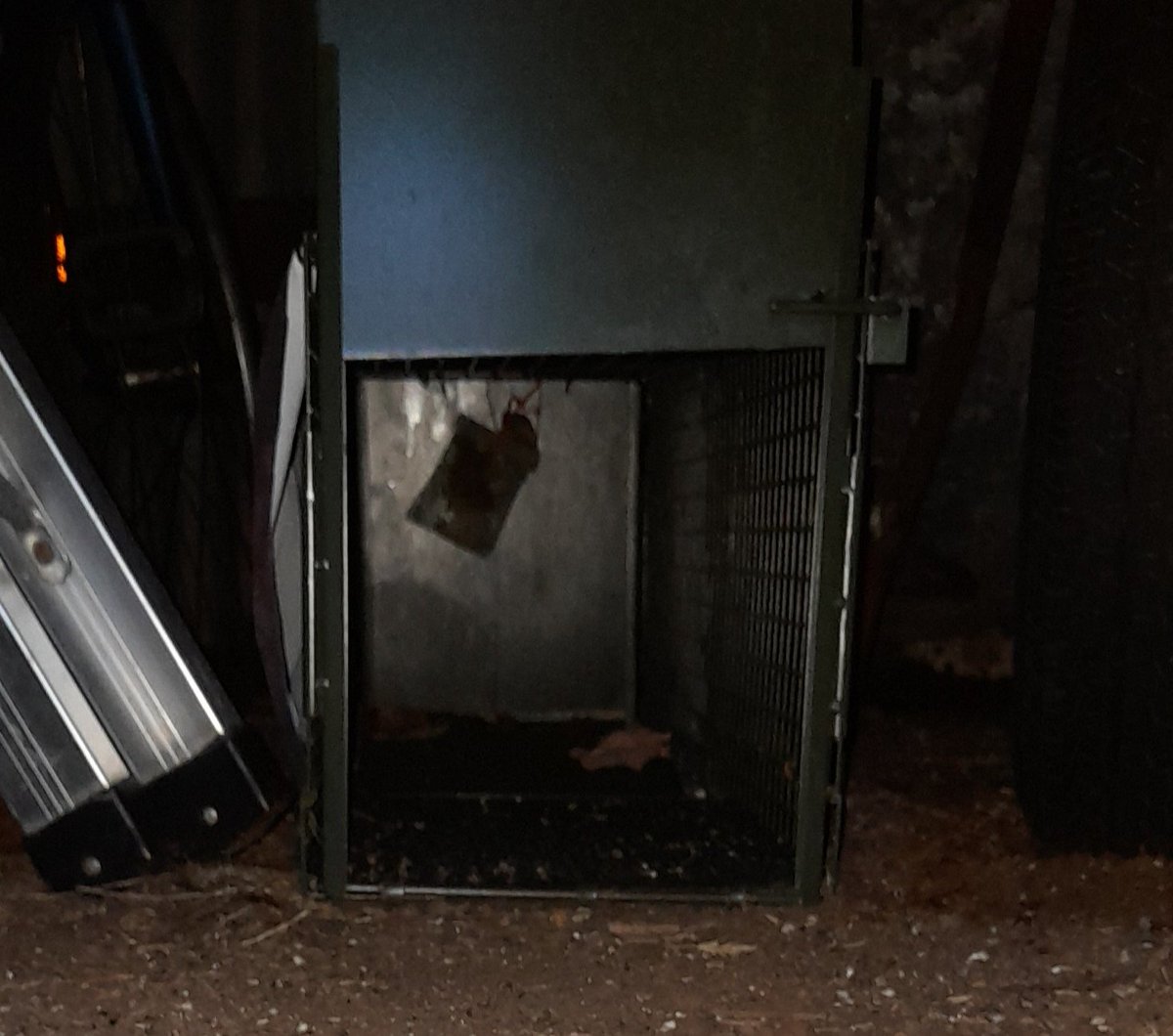 Prototype to lure cats into a trap with fried chicken while resisting predation by mice.

I have an innovation budget of $5 😆