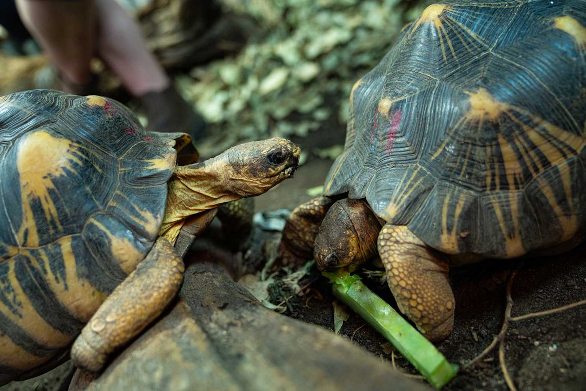 Uni of Nottingham Press Office tweet media
