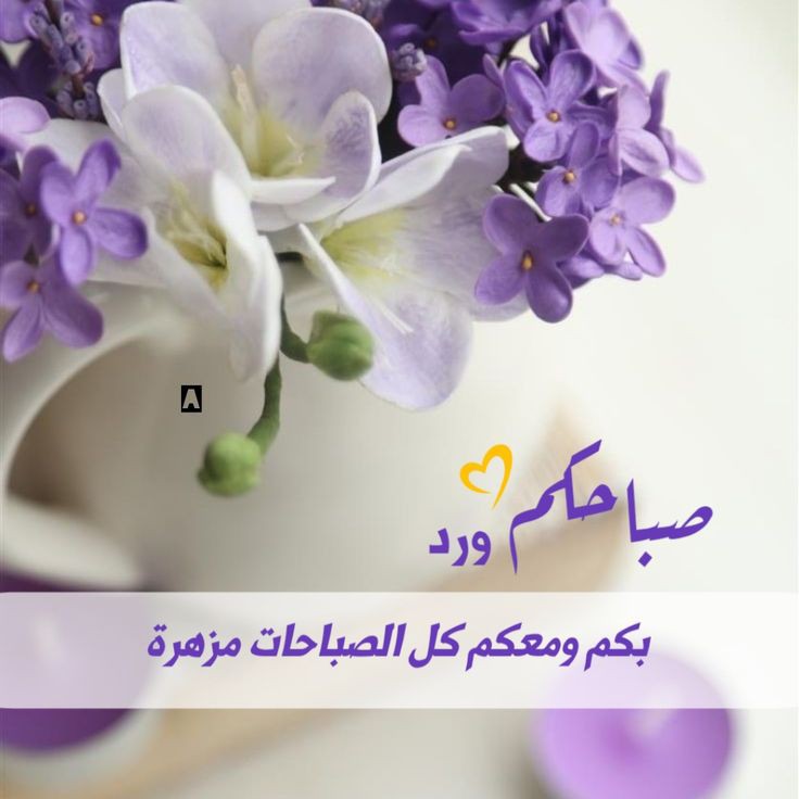 ⤹💜⍣⃝𝑴𝑨𝑹𝑾𝑨⋆🧜♀👑⇣ (@66qij) on Twitter photo <a href="/soliman_gaber59/">سليمان المنشلينى Mr.Soliman</a> <a href="/4dll4/">᷂فسبـح،بحمد،ربك┊᷂🤎˹</a> @qiqlqqi <a href="/13_ocol/">سما</a> <a href="/piotka5/">هكر اخلاقي</a> <a href="/Ha_dy77/">𝙷𝙰DY</a> <a href="/tomi130_/">★ تاليا ★</a> <a href="/domcia110/">Slwan</a> @leejubael12 <a href="/Claudewe33/">🍷</a> <a href="/ChixxChixx2/">ضحكة</a> <a href="/Ana97082467/">球投注 赌场 线上德州 第一体育 FOF体育 冠军体育 亿兆体育 游戏 心水 幸运分分彩 冻卡</a> <a href="/Brian23301678/">大满贯麻将 AG视讯 亚新下载 J9官网 亚游集团ag 沙巴体育365 金贝体育</a> <a href="/maryamchodhry/">عود</a> <a href="/GabrielaAugusty/">Valentina</a> <a href="/HorvathZsuzsa2/">lena</a> <a href="/padolinamelissa/">روح</a> @spacecowgirl198 <a href="/Amanda46343395/">牛仔 推推乐 平博体育 凯发体育 虚拟体育 虎扑体育 赛事体育 海德体育 豪赢体育 体育包网</a> <a href="/arp9893065375_a/">jawahir</a> ِ
صباحـگ سِـ۶ــــآډﮪ وٌِنِسِمًـــآتٌ فُـرحًـﮪ تٌسِڪنِ
” قُلَـًـًـًـًـًبًڪ 💜🧜♀️“.. <a href="/soliman_gaber59/">سليمان المنشلينى Mr.Soliman</a> <a href="/4dll4/">᷂فسبـح،بحمد،ربك┊᷂🤎˹</a> @qiqlqqi <a href="/13_ocol/">سما</a> <a href="/piotka5/">هكر اخلاقي</a> <a href="/Ha_dy77/">𝙷𝙰DY</a> <a href="/tomi130_/">★ تاليا ★</a> <a href="/domcia110/">Slwan</a> @leejubael12 <a href="/Claudewe33/">🍷</a> <a href="/ChixxChixx2/">ضحكة</a> <a href="/Ana97082467/">球投注 赌场 线上德州 第一体育 FOF体育 冠军体育 亿兆体育 游戏 心水 幸运分分彩 冻卡</a> <a href="/Brian23301678/">大满贯麻将 AG视讯 亚新下载 J9官网 亚游集团ag 沙巴体育365 金贝体育</a> <a href="/maryamchodhry/">عود</a> <a href="/GabrielaAugusty/">Valentina</a> <a href="/HorvathZsuzsa2/">lena</a> <a href="/padolinamelissa/">روح</a> @spacecowgirl198 <a href="/Amanda46343395/">牛仔 推推乐 平博体育 凯发体育 虚拟体育 虎扑体育 赛事体育 海德体育 豪赢体育 体育包网</a> <a href="/arp9893065375_a/">jawahir</a> ِ
صباحـگ سِـ۶ــــآډﮪ وٌِنِسِمًـــآتٌ فُـرحًـﮪ تٌسِڪنِ
” قُلَـًـًـًـًـًبًڪ 💜🧜♀️“..