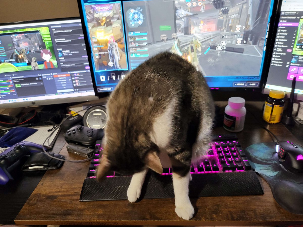 Mecha Break w/ @willowwyllt.bsky.social was super fun great stream though my cat did attempt to kill me but i love that little bastard such a cute menace we raided out to the lovely @ twitch -comfycozycarrie send the loves and follows