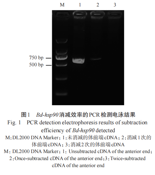 JSA_Journal's tweet photo. 'Cloning and expression localization analysis of a novel transthyretin-like gene ( Bd- TTL- 1) from Bursaphelenchus doui' an article on #ScienceOpen: https://t.co/auRvVS21UD https://t.co/Olpdbhf2bX