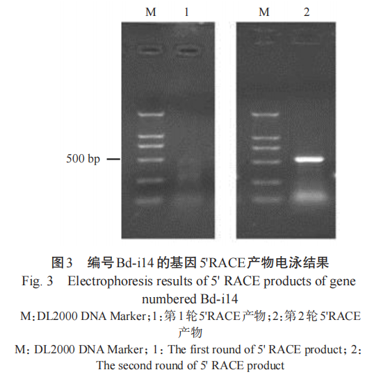 JSA_Journal's tweet photo. 'Cloning and expression localization analysis of a novel transthyretin-like gene ( Bd- TTL- 1) from Bursaphelenchus doui' an article on #ScienceOpen: https://t.co/auRvVS21UD https://t.co/Olpdbhf2bX