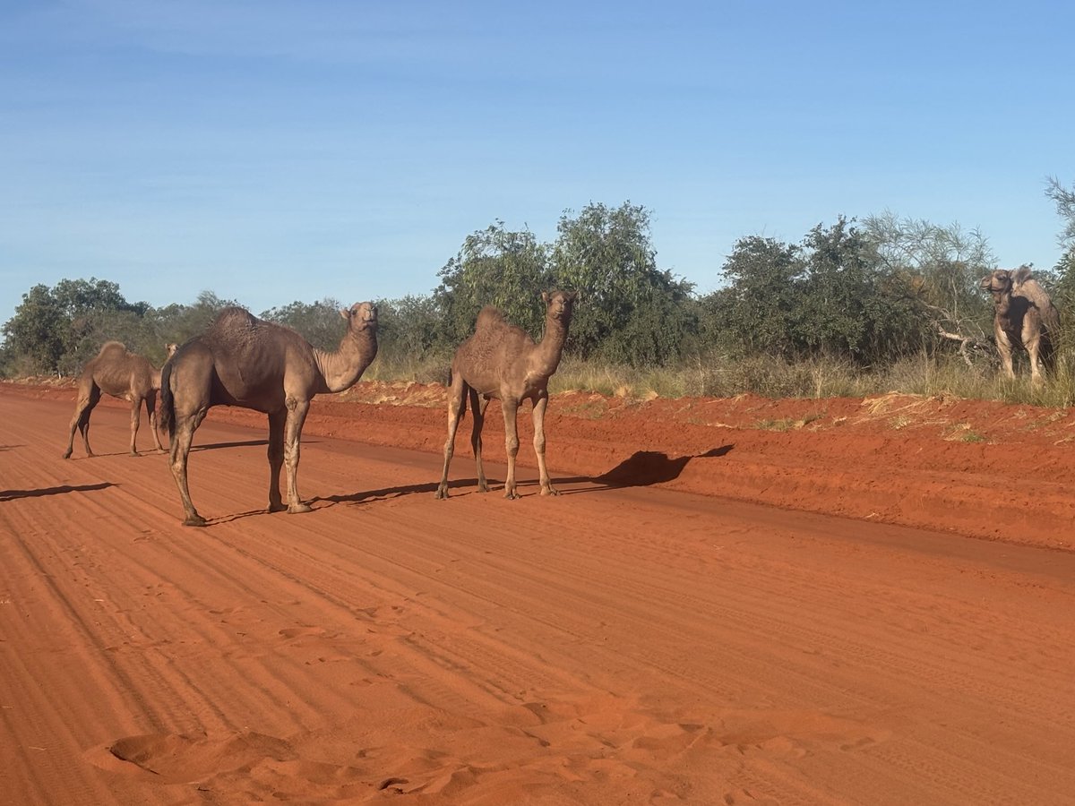 Just hanging out today.