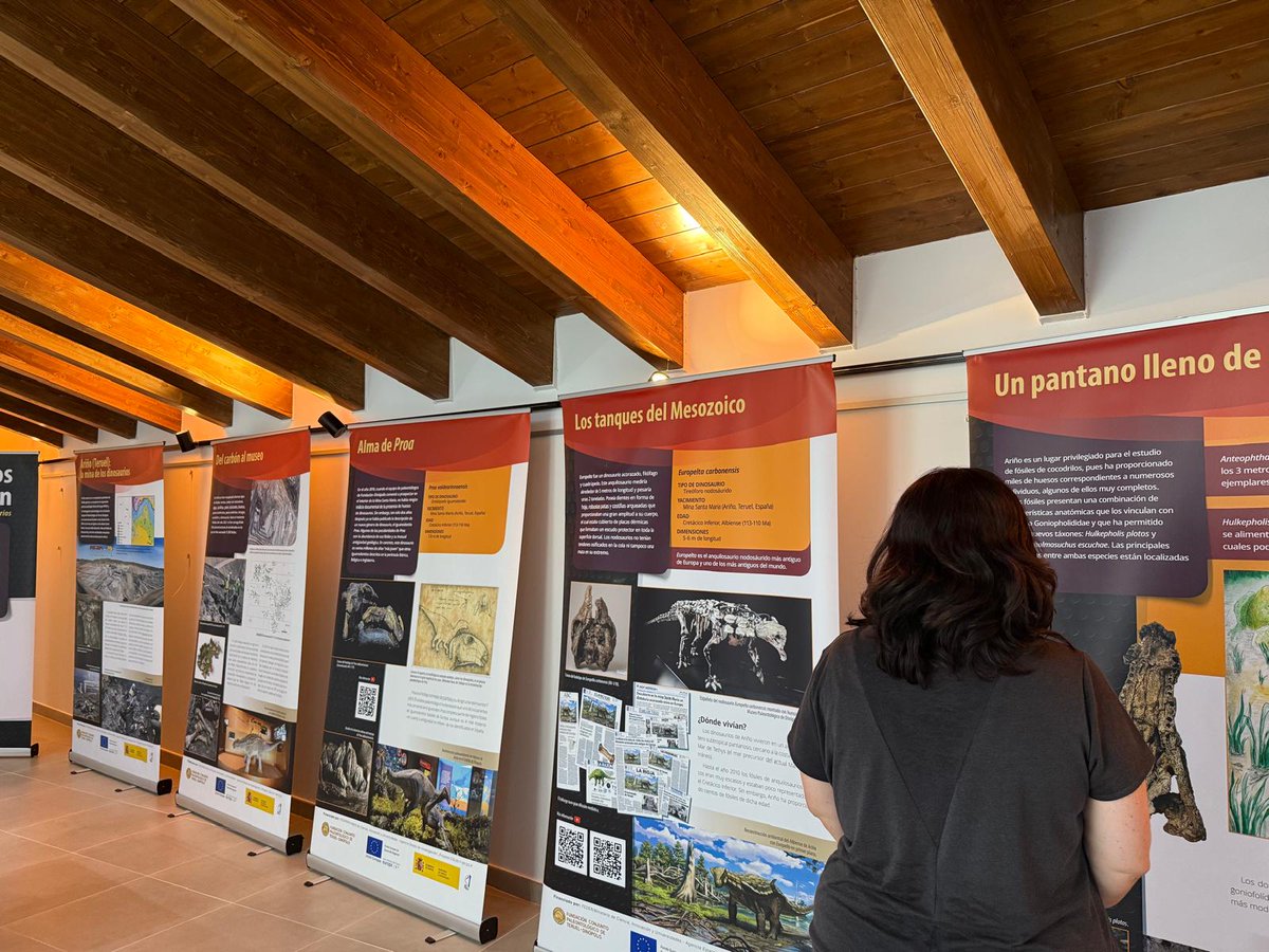 🆕🦖🦕La exposición “Dinosaurios del carbón” finaliza temporada en La Puebla de Valverde🦕🦖🆕

📅 Del 7 julio al 31 agosto
📍Museo del centro cultural (C/Borraz 4)
🕐martes a sábado 16 a 19 horas y sábado y domingo de 9'30 a 14 horas 

Más ℹ️♾ bit.ly/expoDdc_LaPueb…