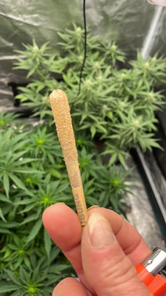 's tweet image. What words do you use most often? #ubung