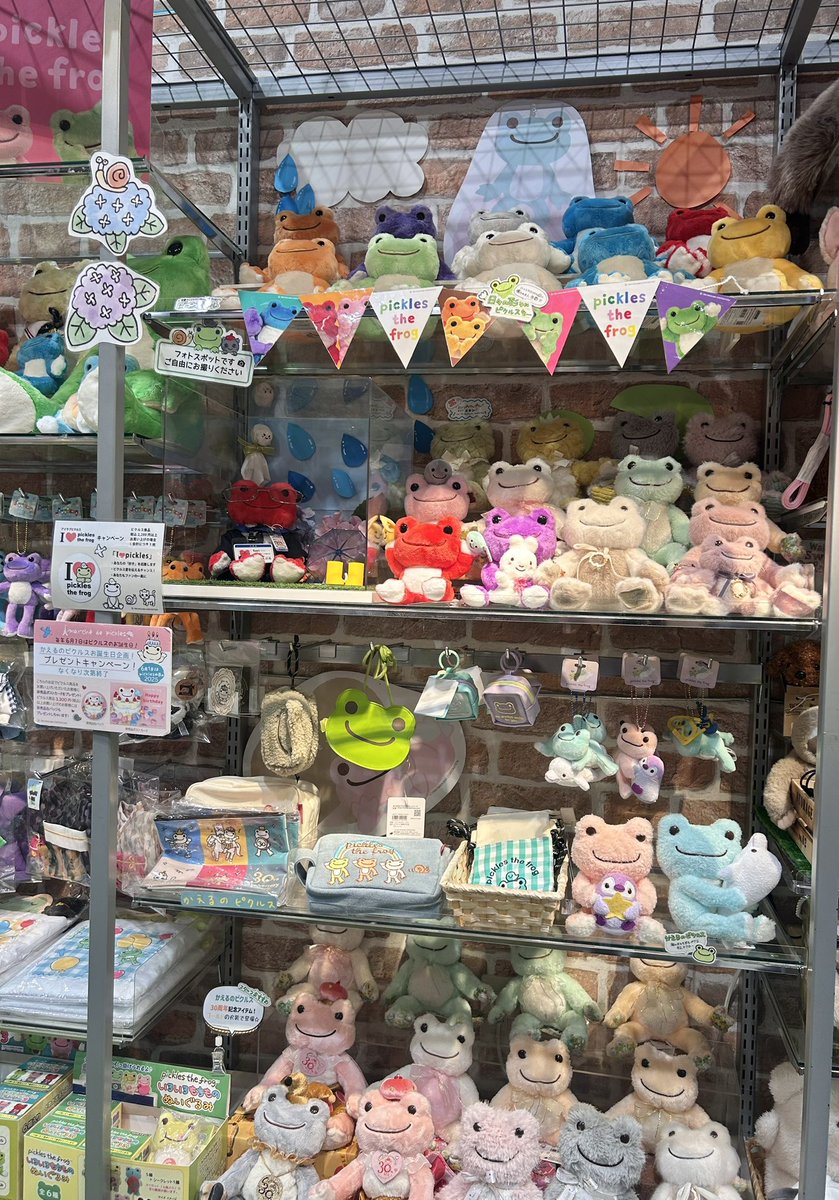 Pickles_Cues's tweet photo. アリオ橋本2階キューズの
「かえるのピクルスコーナー」です♪
メガネとスーツ姿が可愛いかず店長と
お待ちしております(´˘`＊)

#マルシェドピクルス　#かえるのピクルス https://t.co/8jdyscZIZI