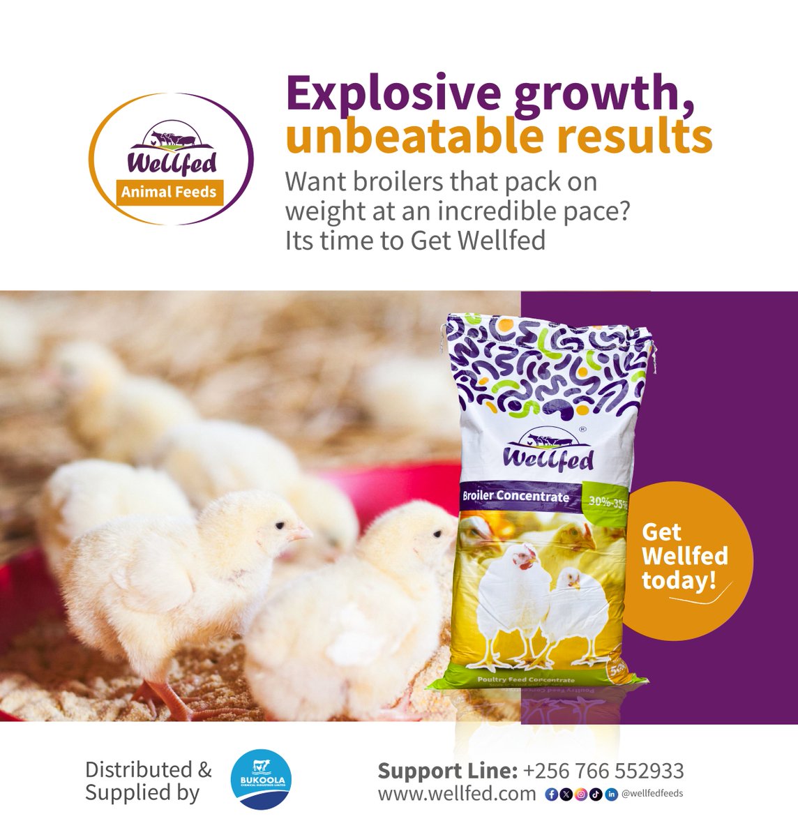 wellfedfeeds's tweet image. Want broilers that truly impress? Choose Wellfed! Our premium feed delivers essential nutrients for astonishing growth, uniform development, and impressive weight gain. Elevate your flock's performance!
#WellfedAnimalFeeds #BroilerProduction #PoultryHealth
