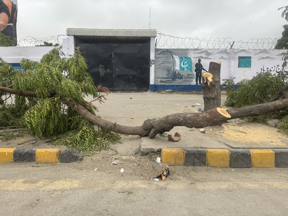 Nargis Asad (@asadnargis) on Twitter photo Wondering what is the logic behind chopping these decades old trees on National stadium road .. anyone has an answer? <a href="/teammurtaza/">Mayor Murtaza Wahab</a> <a href="/MuradAliShahPPP/">Murad Ali Shah</a> Wondering what is the logic behind chopping these decades old trees on National stadium road .. anyone has an answer? <a href="/teammurtaza/">Mayor Murtaza Wahab</a> <a href="/MuradAliShahPPP/">Murad Ali Shah</a>