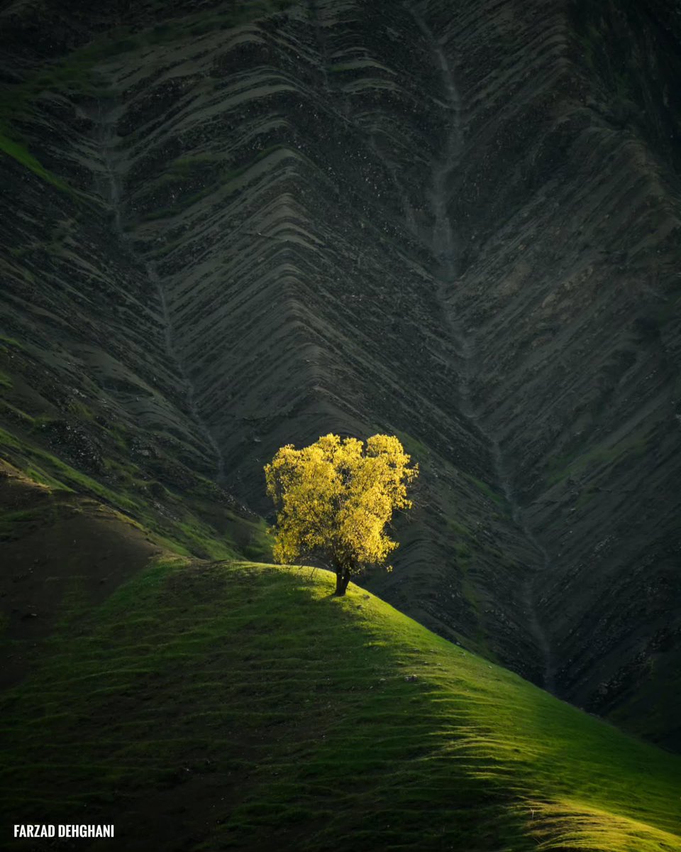 لرستان

عکس از فرزاد دهقانی