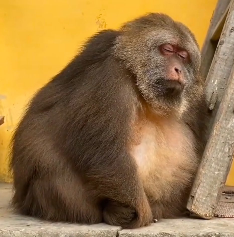 termin in wichlinghausen