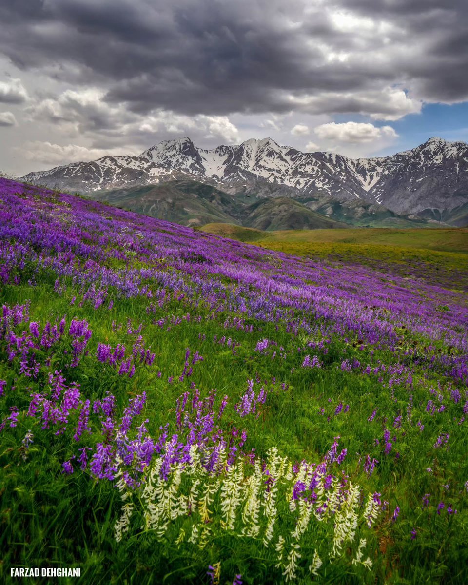 لرستان

عکس از فرزاد دهقانی