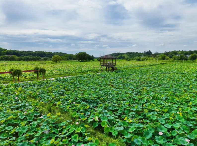 Discover Jiangxi tweet media