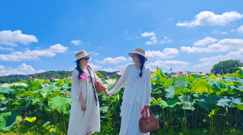 Discover Jiangxi tweet media