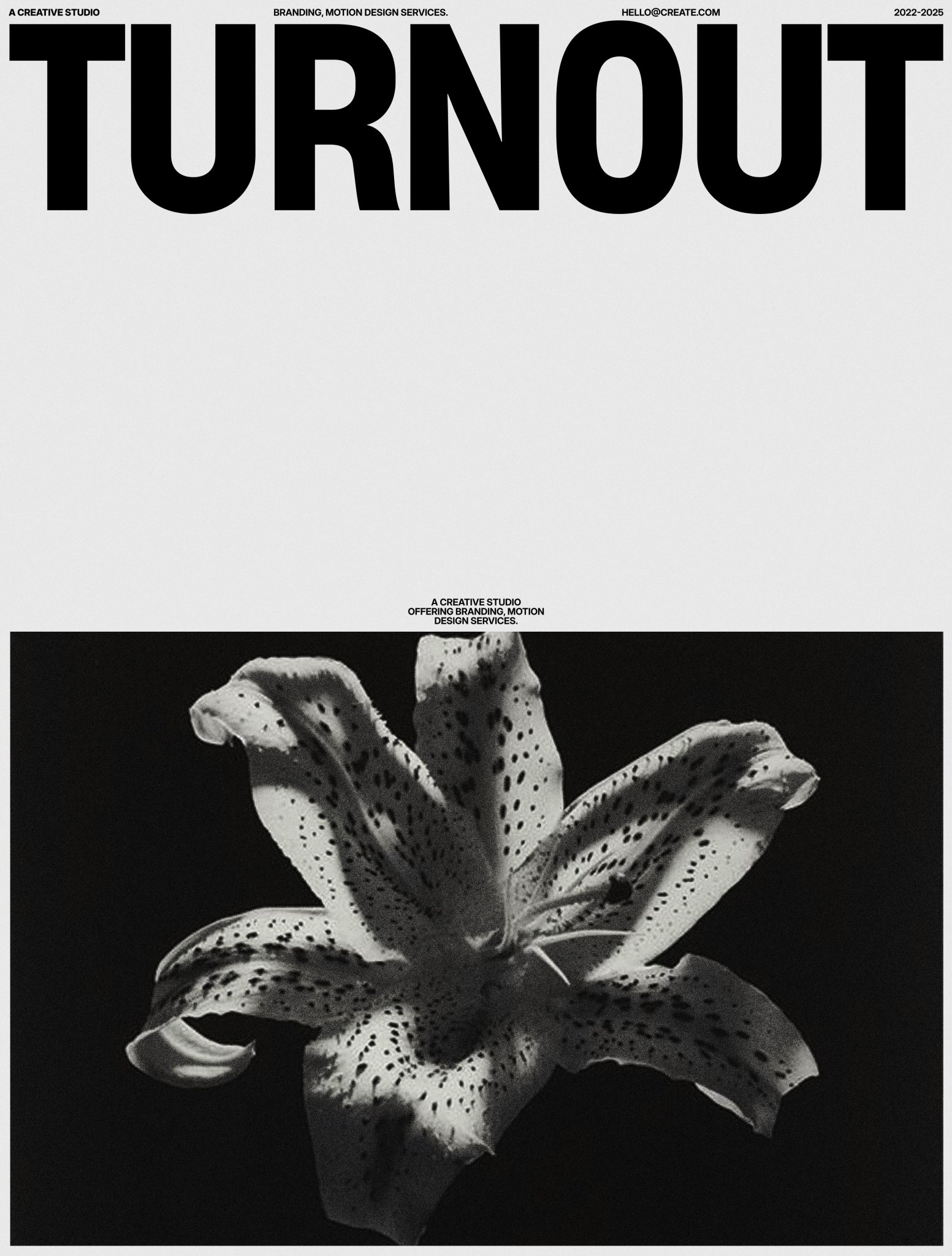 アート・デザイン・音楽 Mapplethorpe X7 Aarzoo on X: 