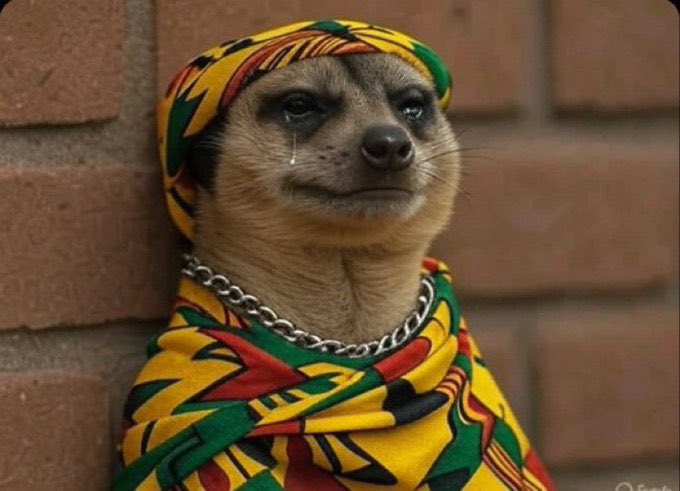 Quote this tweet with anything