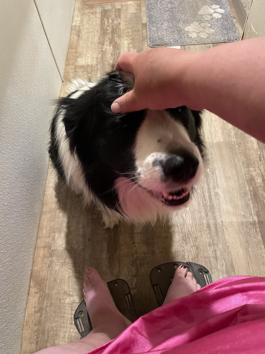 Excuse me, you have to stop and pay the hallway toll!!! 

(Toll = head pats and chest skritches.)