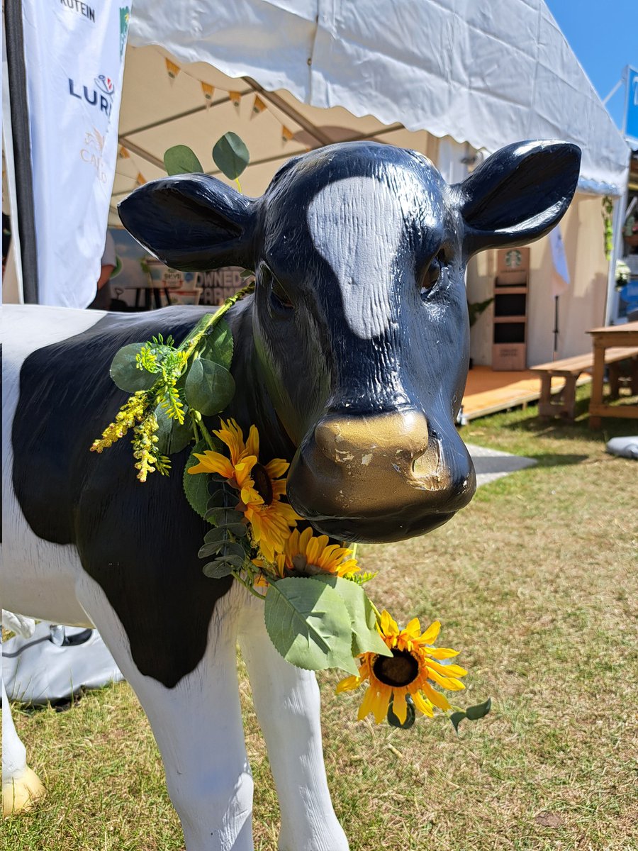 yorkshirejune's tweet image. Morning @spanswicktweets .Here are a few of my favourite memories from the @greatyorkshow 
@BBCYork .Thanks for your name check this morning. Off to pick up @HearingDogs Ambassador Pasha  later this morning.