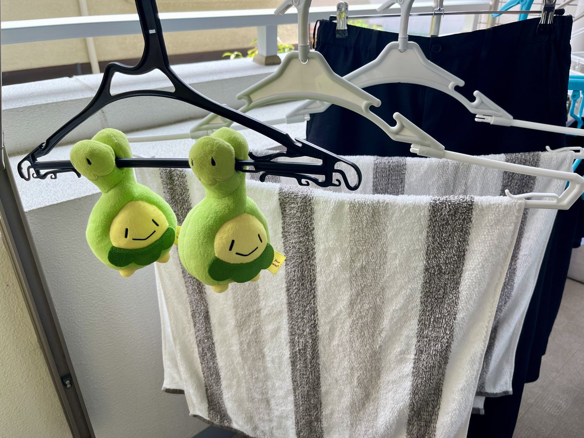 天気が良いのでスボミー達を干している