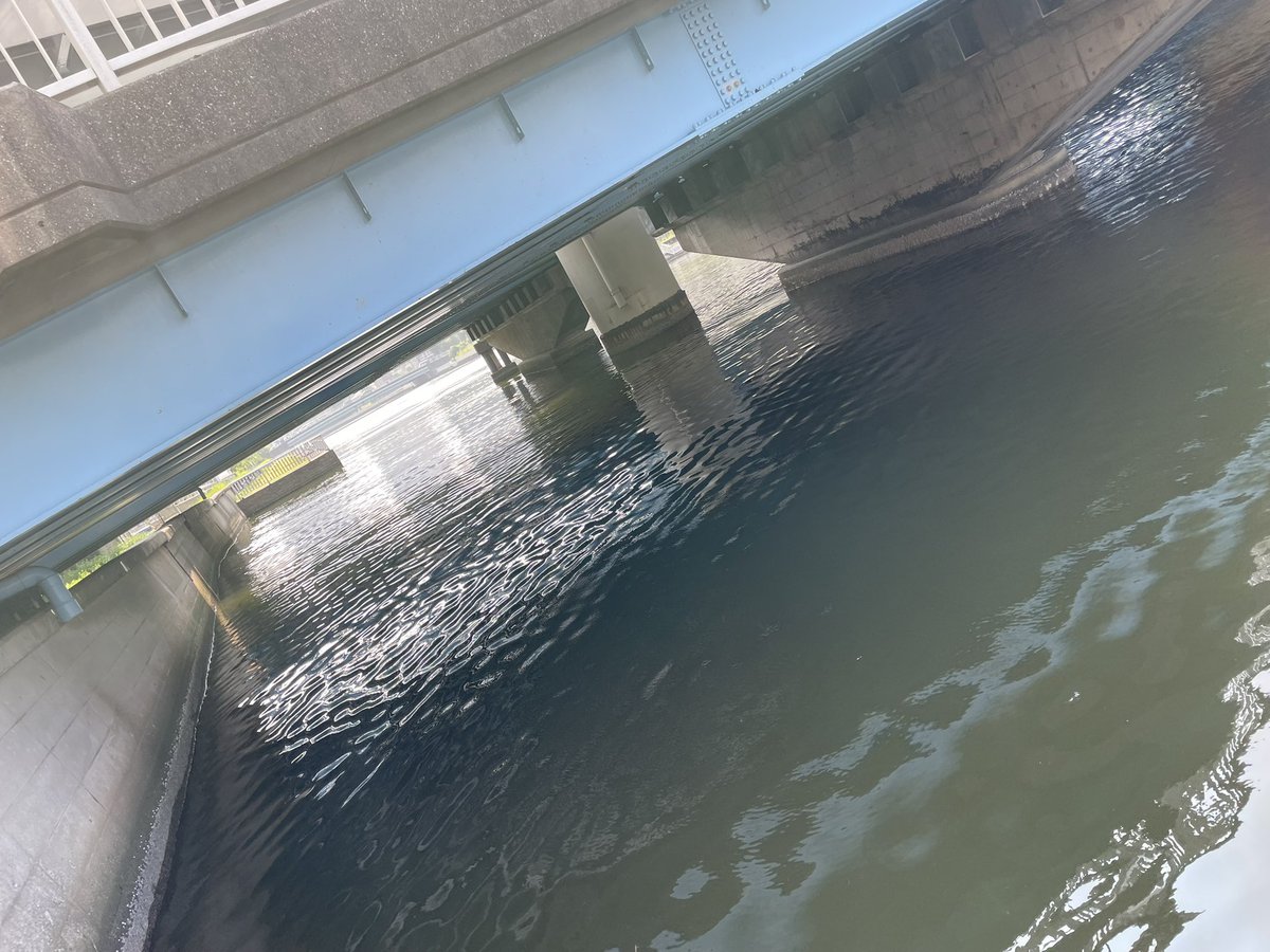 故郷の江東区に来ております。