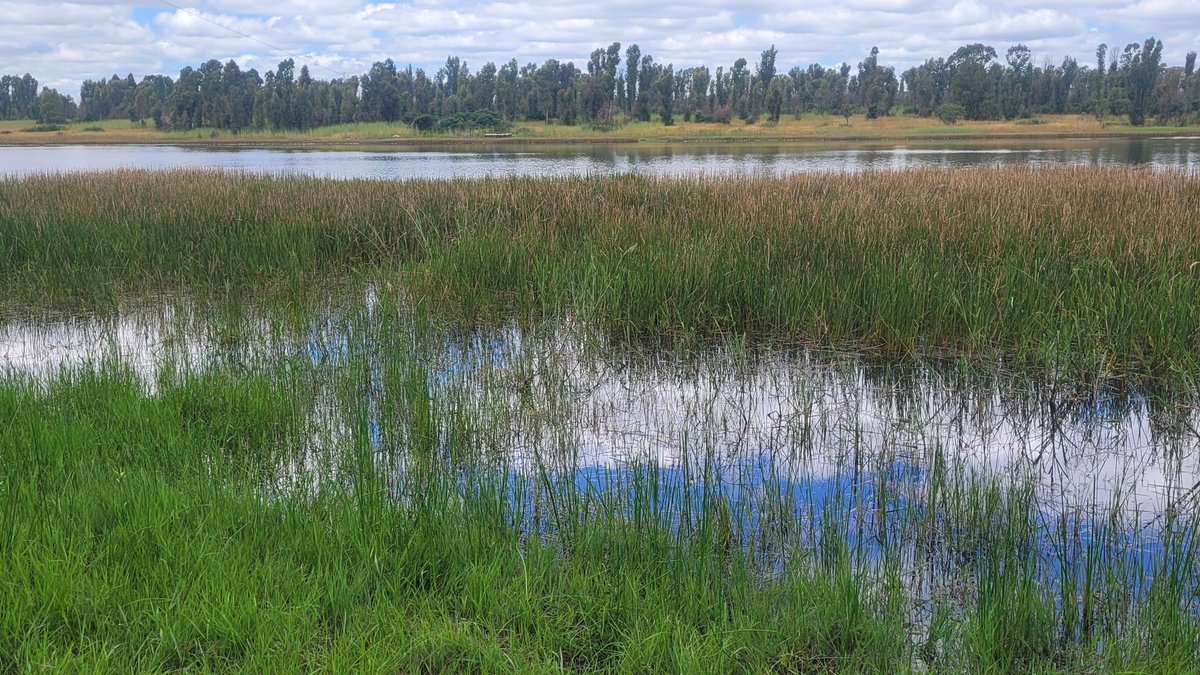 network for environmental and climate justice (@networkforenvi1) on Twitter photo x.com/RamsarConv/staโฆ
Register for the Global Wetland Outlook (2025)
Protecting Wetlands for Our Common Future.
<a href="/RamsarConv/">Convention on Wetlands</a>
<a href="/fiona_iliff/">Fiona Iliff</a> <a href="/WetlandOrg/">Wetlands Conservation Organisation</a> <a href="/birdlifezim/">BirdLife Zimbabwe</a> <a href="/jeanbetrand_/">Jean-betrand mhandu</a> <a href="/JoanaMamombe/">Joanah Mamombe MP</a> <a href="/MinOECW/">Ministry of Environment, Climate and Wildlife</a> <a href="/EMAeep/">E.M.A</a> <a href="/NLinZimbabwe/">Dutch Embassy Harare ๐ณ๐ฑ</a> <a href="/ParliamentZim/">Parliament of Zimbabwe</a> <a href="/southern_enviro/">The Southern Environment</a> <a href="/shamauswa/">Hon. Dr. Shakespear Hamauswa</a> <a href="/kwirirayi/">larry kwirirayi โ๐</a> x.com/RamsarConv/staโฆ
Register for the Global Wetland Outlook (2025)
Protecting Wetlands for Our Common Future.
<a href="/RamsarConv/">Convention on Wetlands</a>
<a href="/fiona_iliff/">Fiona Iliff</a> <a href="/WetlandOrg/">Wetlands Conservation Organisation</a> <a href="/birdlifezim/">BirdLife Zimbabwe</a> <a href="/jeanbetrand_/">Jean-betrand mhandu</a> <a href="/JoanaMamombe/">Joanah Mamombe MP</a> <a href="/MinOECW/">Ministry of Environment, Climate and Wildlife</a> <a href="/EMAeep/">E.M.A</a> <a href="/NLinZimbabwe/">Dutch Embassy Harare ๐ณ๐ฑ</a> <a href="/ParliamentZim/">Parliament of Zimbabwe</a> <a href="/southern_enviro/">The Southern Environment</a> <a href="/shamauswa/">Hon. Dr. Shakespear Hamauswa</a> <a href="/kwirirayi/">larry kwirirayi โ๐</a>