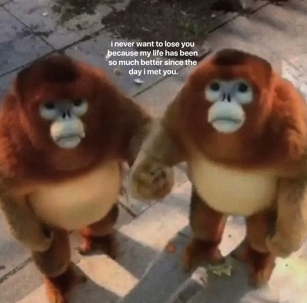 Out Of Context Animals (@animalscontexts) on Twitter photo 
