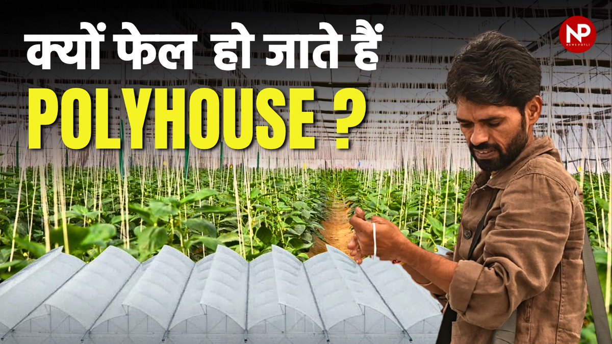 पॉलीहाउस, ग्रीन हाउस या नेट हाउस... फेल क्यों हो जाते हैं?

कई किसानों से सुना है पॉलीहाउस उनके लिए या उनके इलाके के लिए नहीं है।, सोशल मीडिया पर तो इसकी भरमार भी है कि वो फेल हो गए। Protected cultivation यानि संरक्षित खेती सामान्य खेती से अलग है.. जाहिर है वहां आपका नजरिया अलग