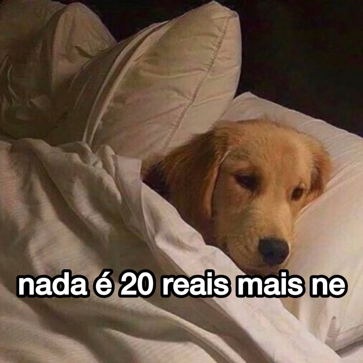 NazareAmarga's tweet photo. nada ne https://t.co/Bnsa5wt1HY
