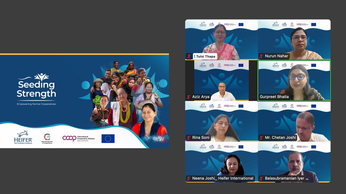 ICAAPAC's tweet photo. 🔴Happening now!
Launch of "#SeedingStrength: Empowering Farmer Cooperatives" - a campaign led by @heifer_asia in partnership with @ICAAPAC to commemorate #IYC2025 #CoopsYear
#CoopsBuildaBetterWorld #Coops4dev🌏 https://t.co/V98RMZTlWc