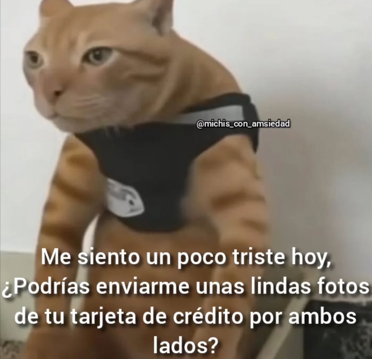 piña sin pizza (@skereunpesado) on Twitter photo 