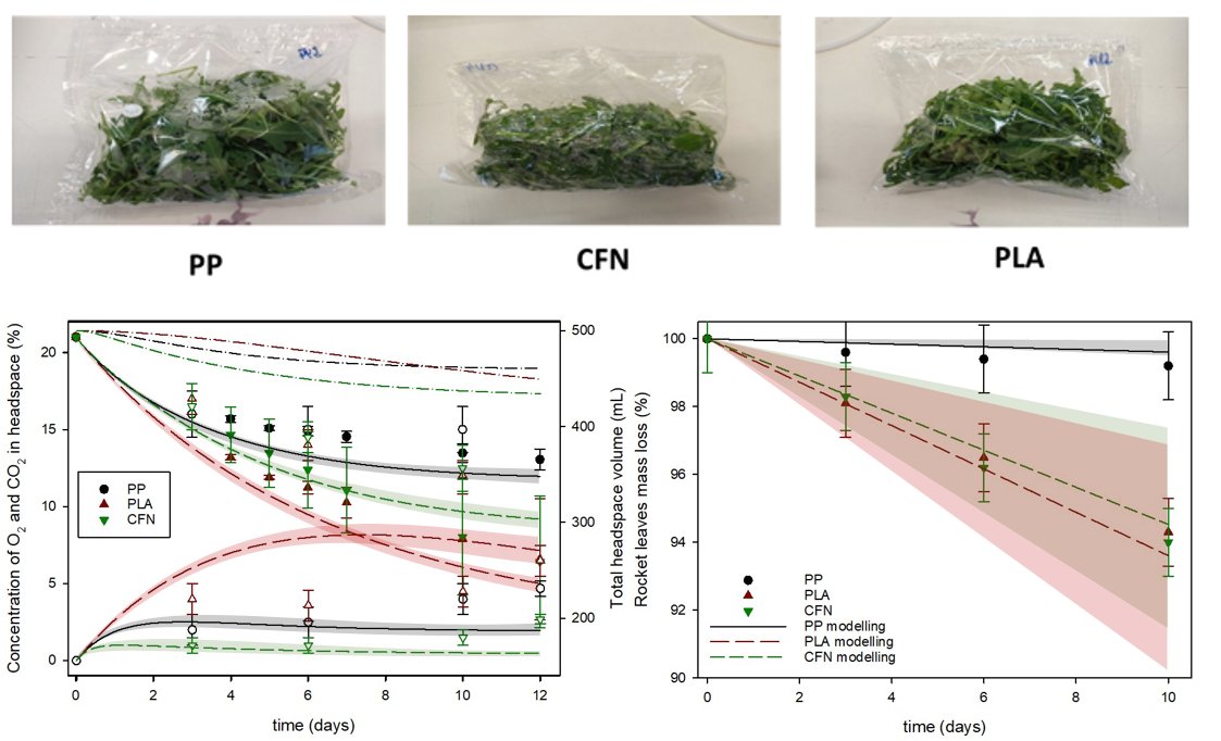 The <a href="/FoodPackGroup/">Packaging Group</a> of <a href="/iata_csic/">IATA CSIC</a> has published "Shelf Life of Fresh-Cut Vegetables with Sustainable Packaging: A Case Study on Rocket Leaves" in Food Packaging and Shelf Life (authors.elsevier.com/sd/article/S22…). This study shows potential benefits of compostable materials for fresh produce