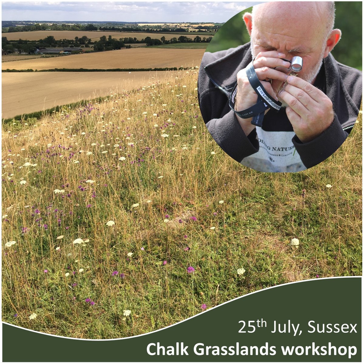 National Plant Monitoring Scheme (@thenpms) on Twitter photo Chalk Grasslands Training Friday 25th July 10 - 3pm Wolstonbury Hill, Sussex. Experts from Budding Nature will give an intro to identifying chalk grassland indicator plants. There will be a classroom session & an in-field session to practice skills. Info npms.org.uk/content/event-… Chalk Grasslands Training Friday 25th July 10 - 3pm Wolstonbury Hill, Sussex. Experts from Budding Nature will give an intro to identifying chalk grassland indicator plants. There will be a classroom session & an in-field session to practice skills. Info npms.org.uk/content/event-…