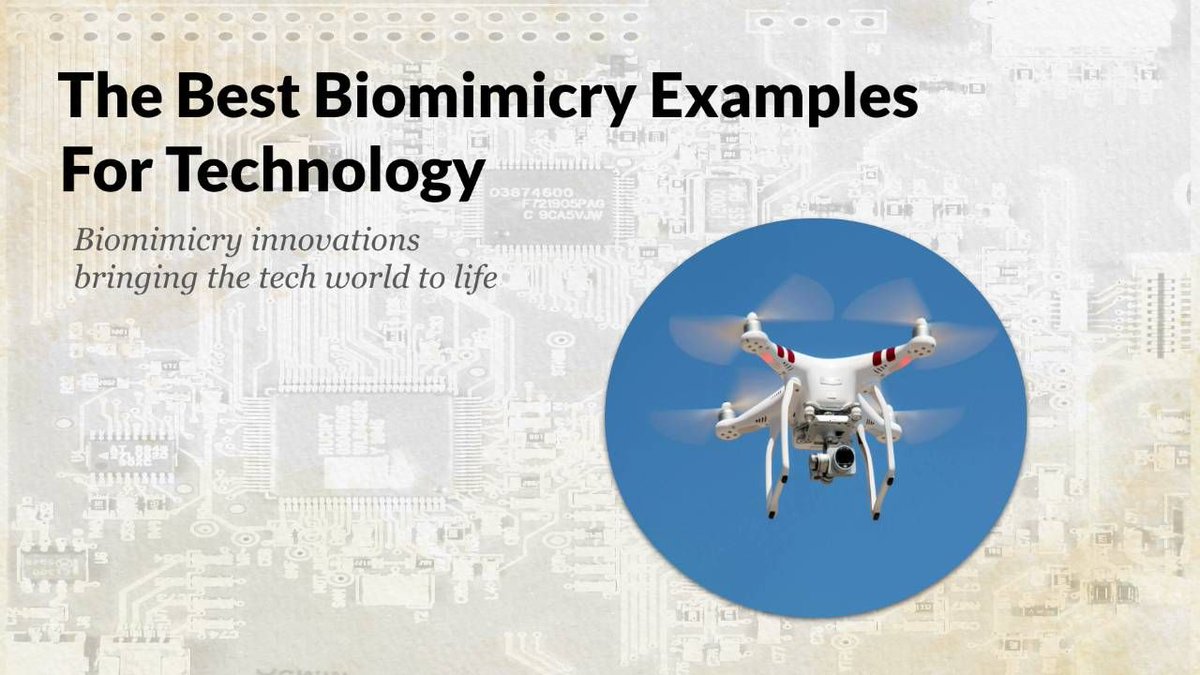 LearnBiomimicry tweet media