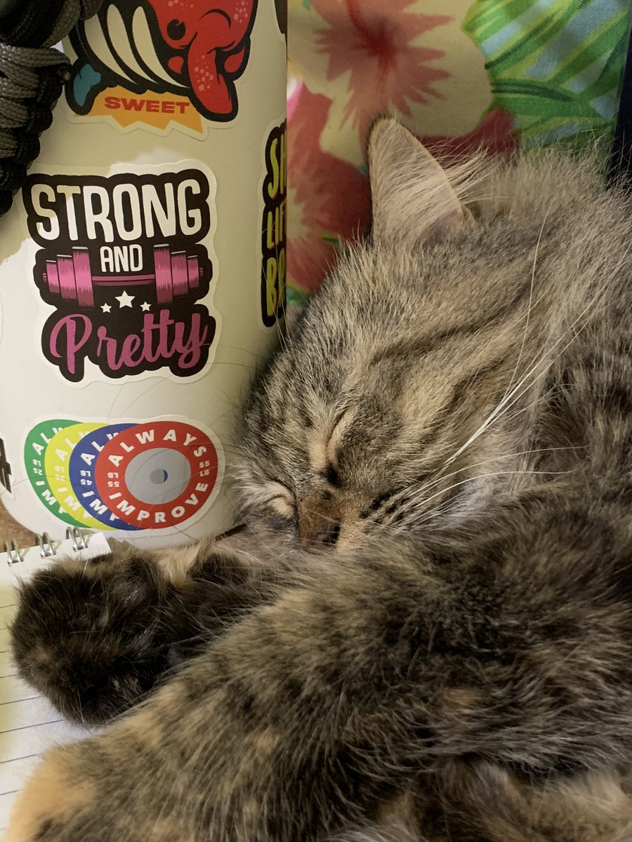 ron⁷ ARIRANG⊙⊝⊜ tweet media