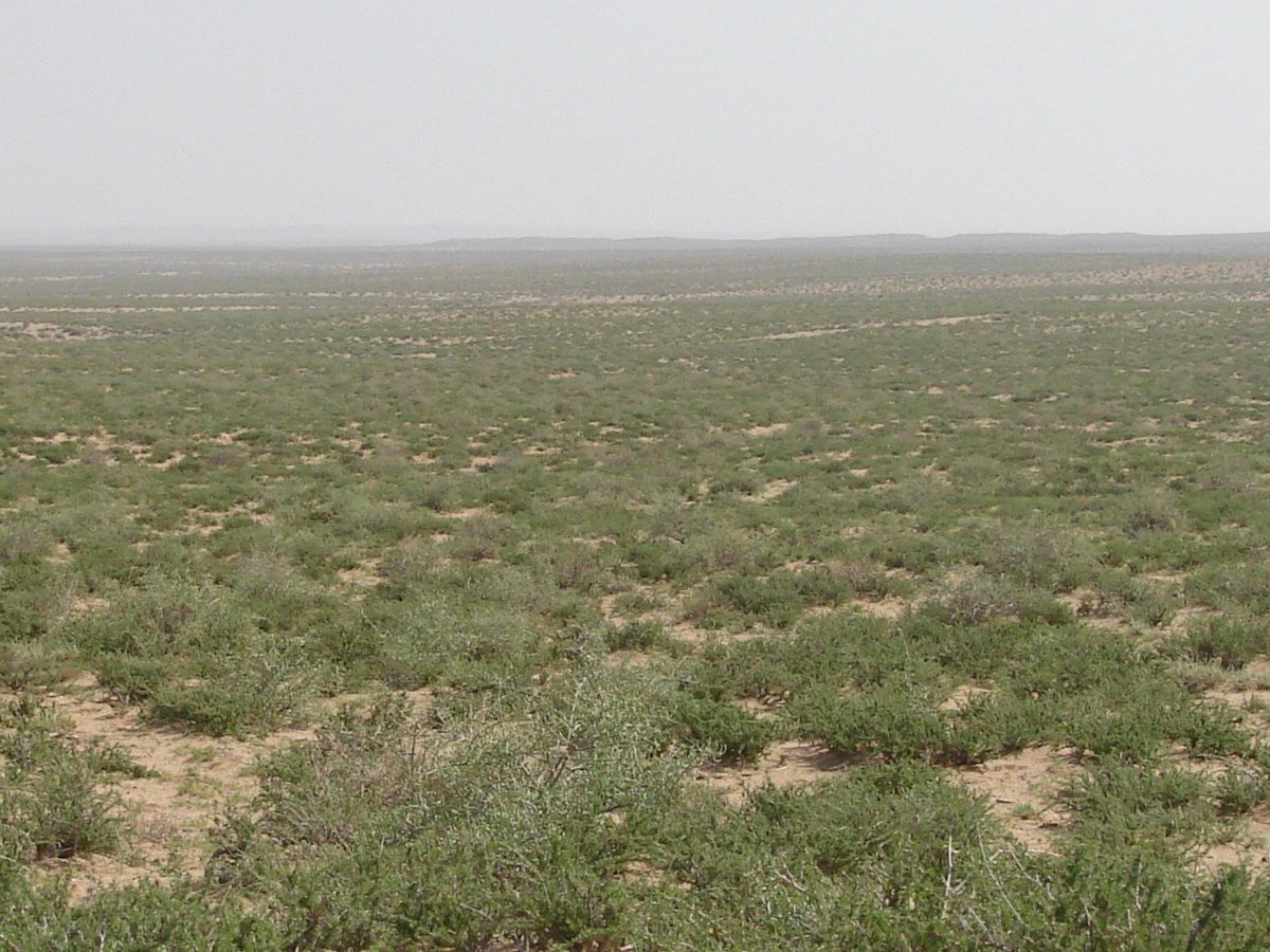 Shen Shiwei 沈诗伟 (@shen_shiwei) on Twitter photo 🇨🇳🏜️🌳How has China built a 1,856-km green barrier belt for de-desertification at norther Inner Mongolia?
With years of hard working and drones' help, the green barrier belt across three major deserts of Badain Jaran, Tengger, and Ulan Buh deserts now thrives. 🇨🇳🏜️🌳How has China built a 1,856-km green barrier belt for de-desertification at norther Inner Mongolia?
With years of hard working and drones' help, the green barrier belt across three major deserts of Badain Jaran, Tengger, and Ulan Buh deserts now thrives.