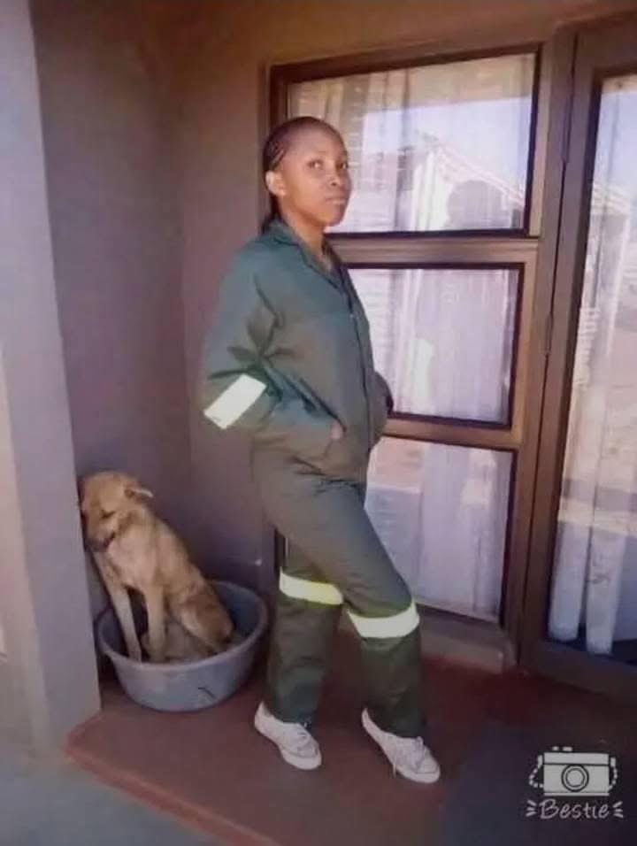 Bobby thinks he will also get rescued 😂