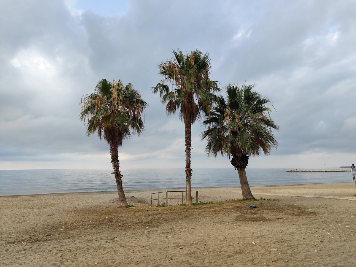 #BuenosDías
#Málaga
#Miércoles