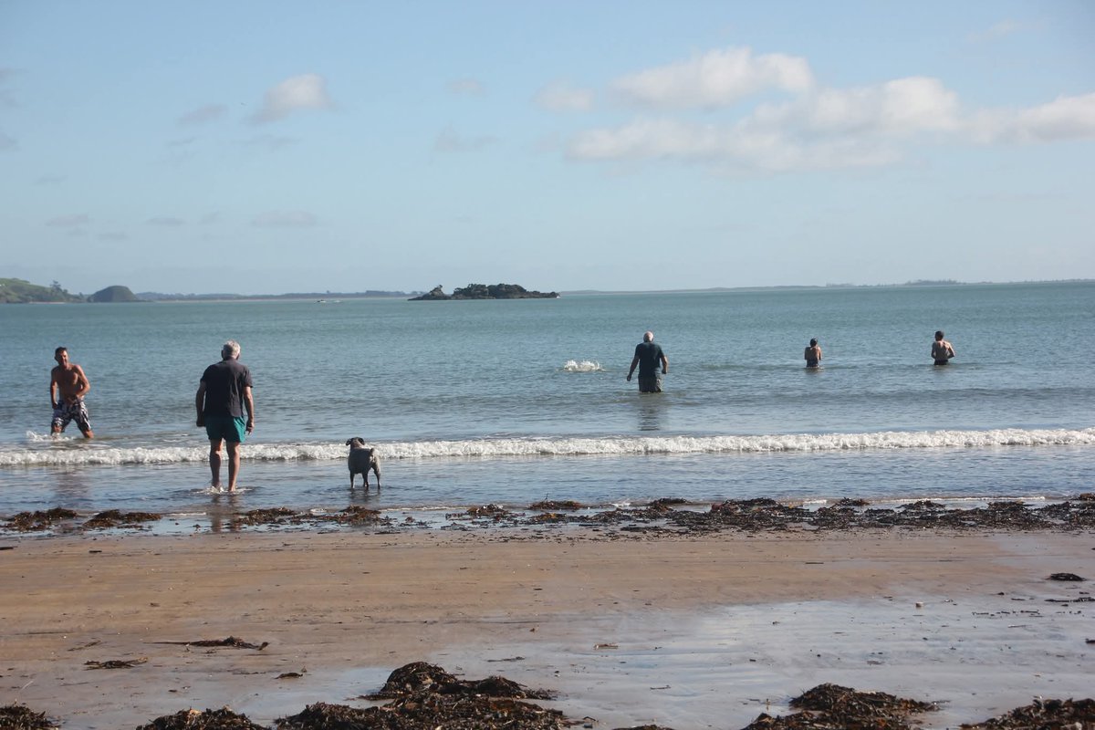 20th midwinter swim in a row, Sunday , Coopers Beach  Northland . I'm the splash .