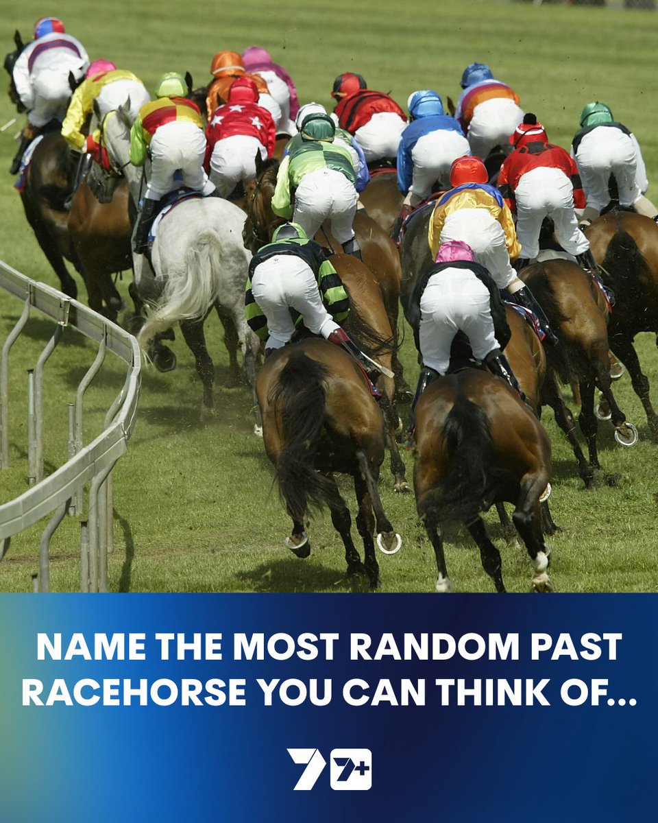 7HorseRacing 🐎 tweet media