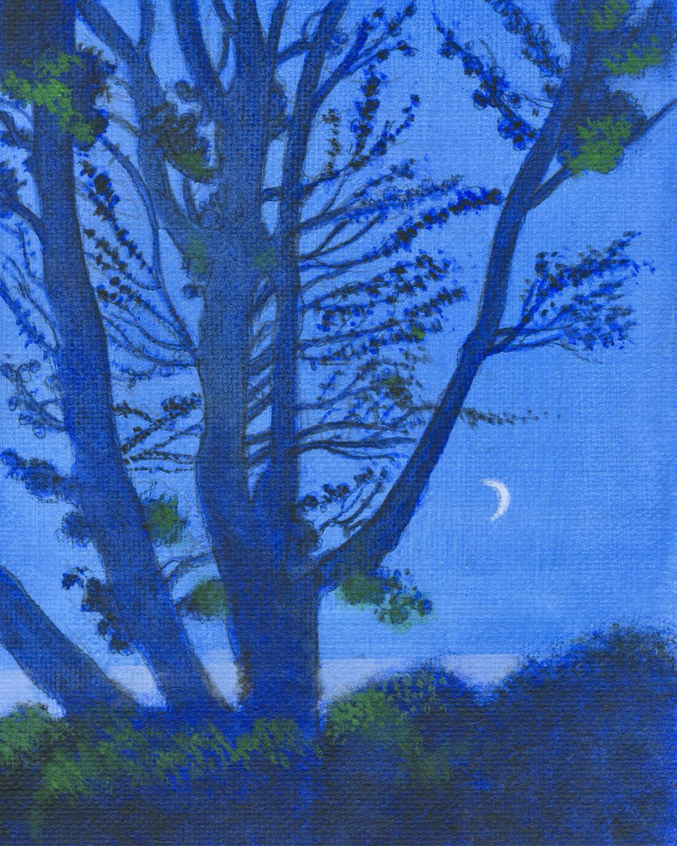 Crescent Moon Landeda Brittany: acrylic on linen 2025