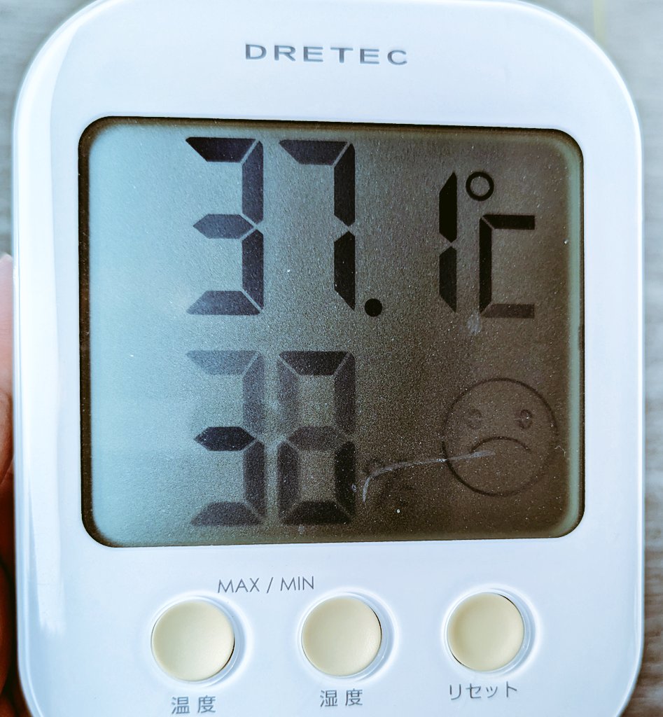 299yashiki's tweet photo. 15:00 ベランダの日陰にて😱💦

#ライ が小さいうちに
いっぱい会いに行きたかったのに
さすがに体温超えは
身の危険を感じる…😢

🐻‍❄️📷️2025.06.13
#ズーラシア https://t.co/2VEUw2JG7j