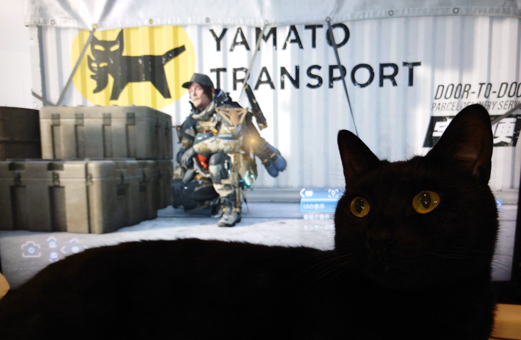 Devin Neko  マーシャル    黒猫9625クロネコ 最適な価格 楽天市場】猫 キャット くろねこ クロネコ 黒猫