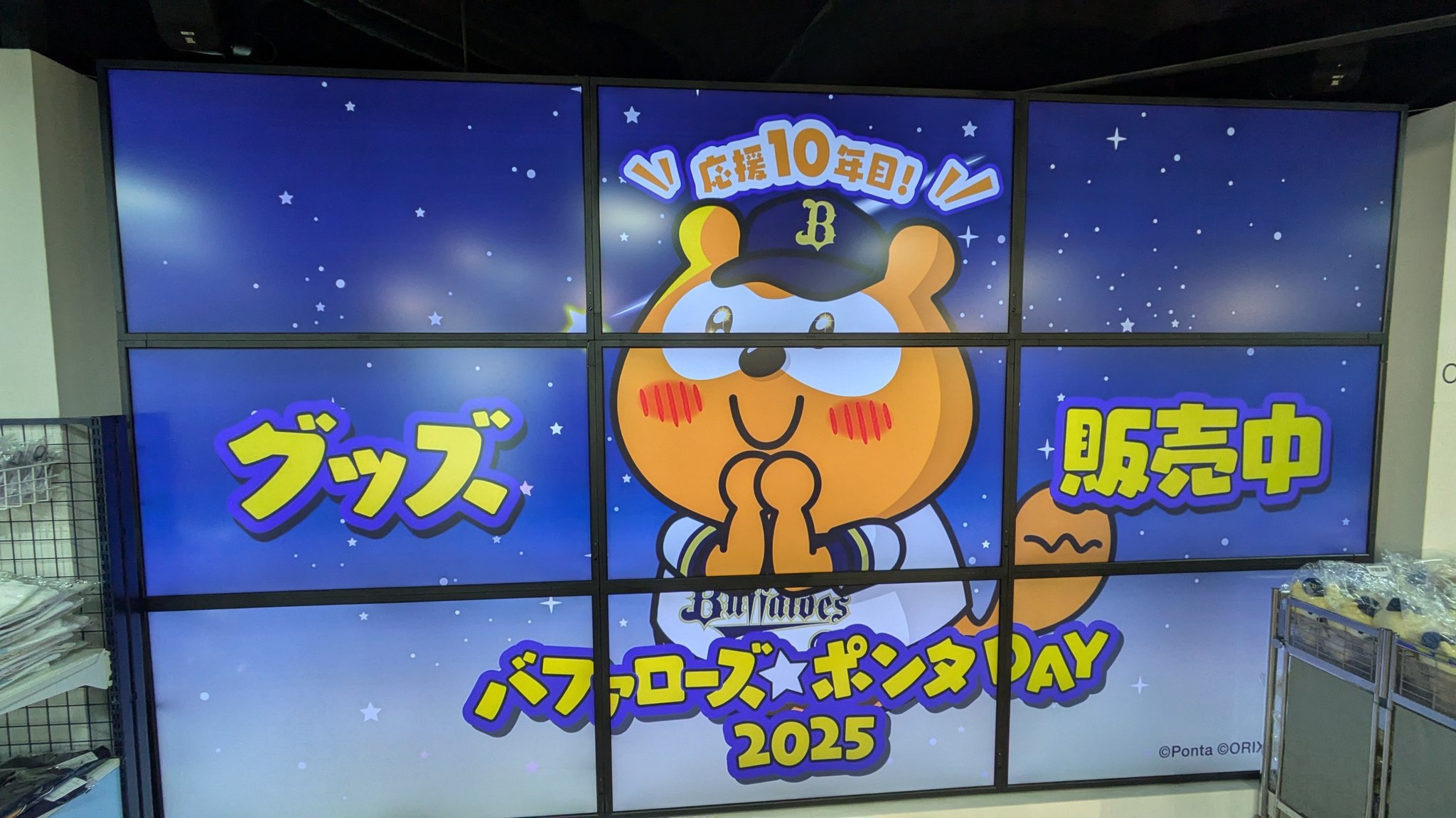 ポンちゃんです（他の方は購入出来ません） かわ⭐ちゃん on X: 