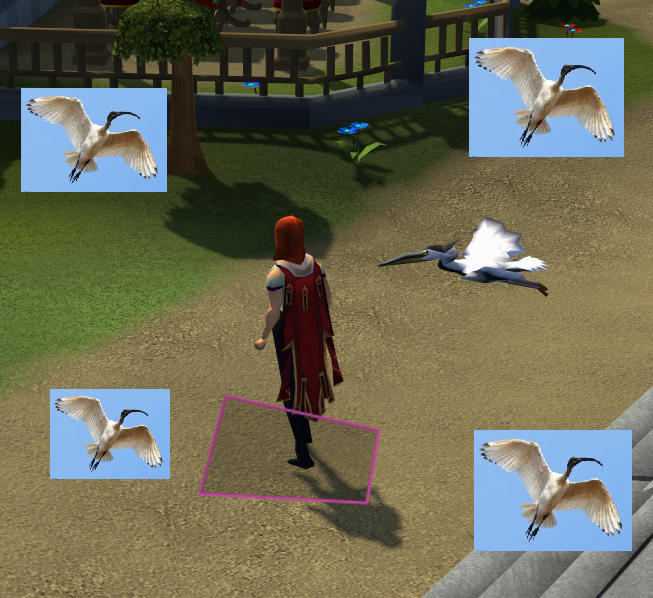 sez11e's tweet photo. got a flying bin chicken today! https://t.co/ts0B1TR63r