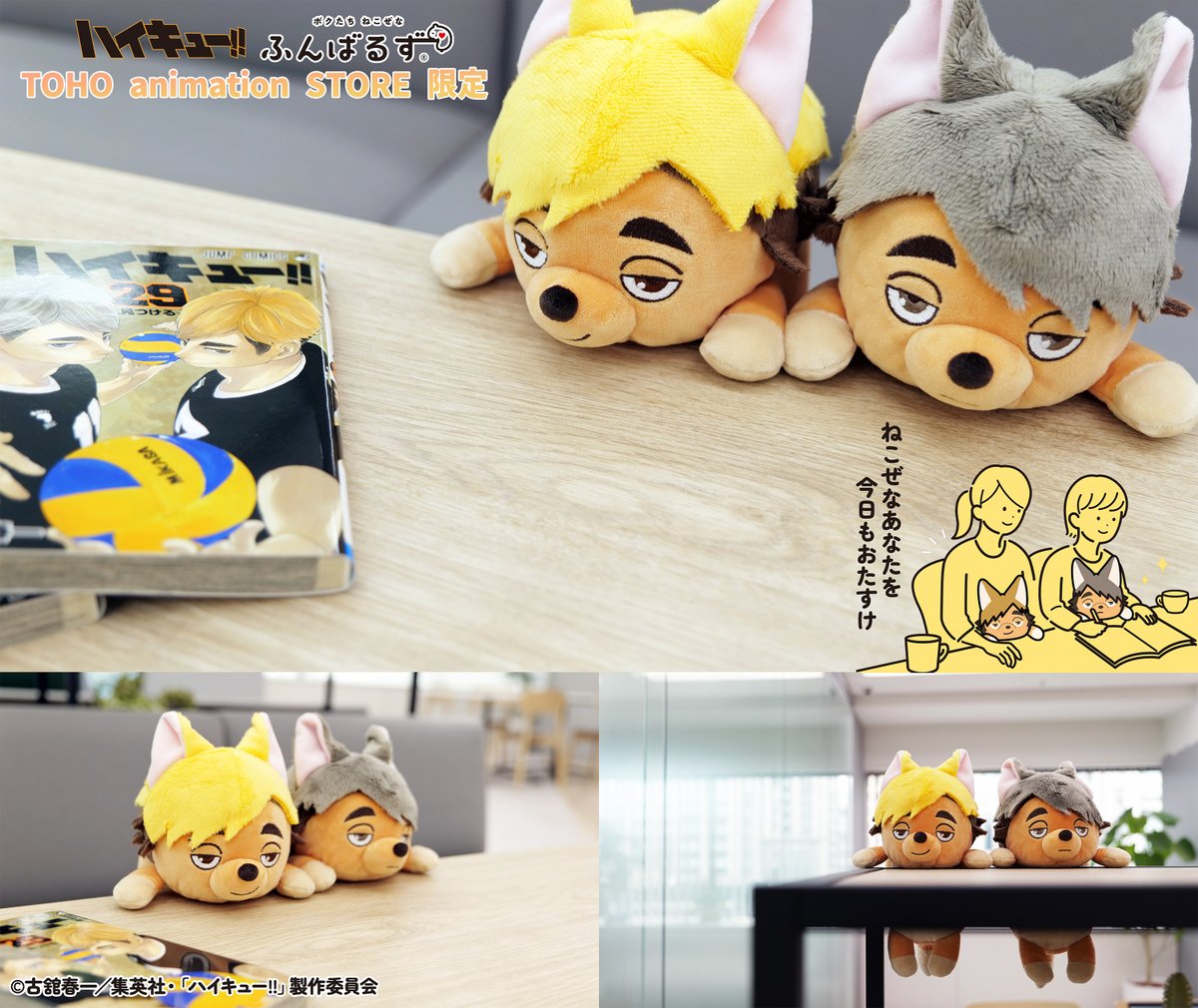 TOHOanimeSTORE's tweet image. 【#ハイキュー】
○━●━━○━━●━○━━●━○
あなたの ねこぜを 今日もおたすけ。
「#ふんばるず」から
新しいメンバーが仲間入りして
TaS限定で新登場!
○━●━━○━━●━○━━●━○
🏐\数量限定!ご予約受付中/
🏐発売:25年7月頃よりお届け
tohoanimationstore.com/shop/r/r334/
#hq_anime