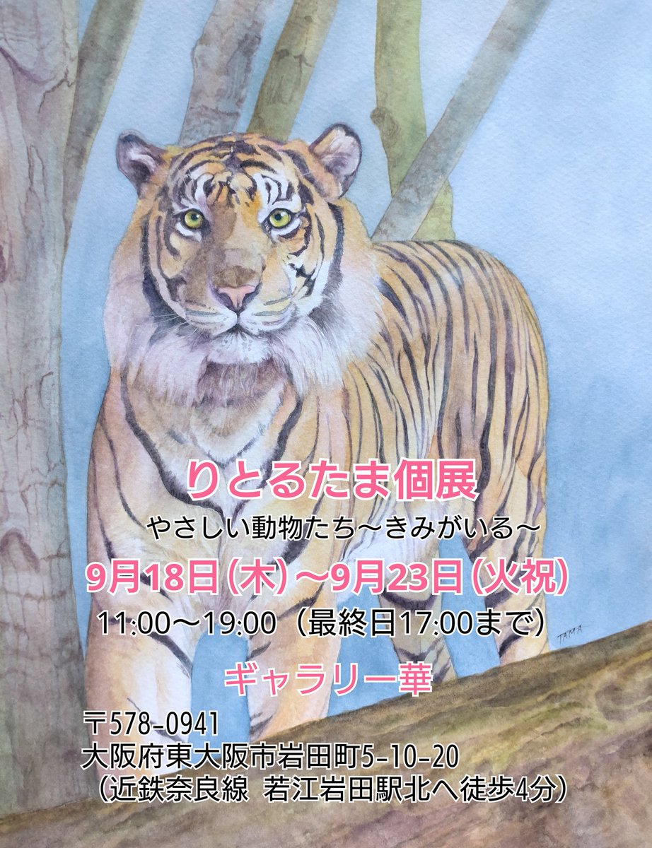 ritorutama's tweet image. 9月に東大阪市の静かな町の綺麗なギャラリー様で個展をします。ドキドキワクワクがんばります！是非お越しください。お待ち申しあげます。

9/18(木)〜9/23(火祝)
11:00〜19:00
（最終日17:00まで）
ギャラリー華（近鉄奈良線 若江岩田駅北へ徒歩4分）

#個展　#art　#近鉄奈良線
